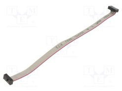 M50-9100542_5+5 Pos. Female DIL Cable Assembly 150mm double-end