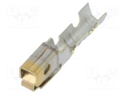 8550129_KK 100 Crp Term Shrouded 2430 Awg SGold