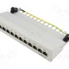 NP0017A_Patch panel; RJ45; Κατ: 6; Γκρί; Αριθμός θυρίδων: 12