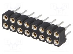 DS1002-01-2*8V13-JK_Πρίζα; ακίδων; θηλυκά; PIN: 16; τορναρισμένες επαφές; ευθύς; 2