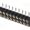 DS1002-01-2*10S13-JK_Πρίζα; ακίδων; θηλυκά; PIN: 20; τορναρισμένες επαφές; κάθετη; SMT