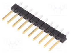 68000-210HLF_Ράγα ακίδων; ακίδων; BERGSTIK II; αρσενικά; PIN: 10; ευθύς; 2