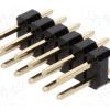 DS1021-2*6SF11-B_Ράγα ακίδων; ακίδων; αρσενικά; PIN: 12; ευθύς; 2