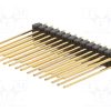 SL22.265.28G_Ράγα ακίδων; ακίδων; αρσενικά; PIN: 28; ευθύς; 2