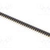 DS1004-1X32F1-2_Ράγα ακίδων; ακίδων; αρσενικά; PIN: 32; ευθύς; 2