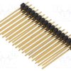 SL22.265.32G_Ράγα ακίδων; ακίδων; αρσενικά; PIN: 32; ευθύς; 2