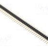 SL1.025.36G_Ράγα ακίδων; ακίδων; αρσενικά; PIN: 36; ευθύς; 2