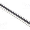 DS1021-1*36SF11-B_Ράγα ακίδων; ακίδων; αρσενικά; PIN: 36; ευθύς; 2