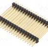 SL6.237.36G_Ράγα ακίδων; ακίδων; αρσενικά; PIN: 36; ευθύς; 2