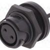 PXP4013/02S/PC_Σύνδεση: στρογγυλό; πρίζα; θηλυκά; PIN: 2; Buccaneer 4000; Επίχρυση