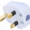 LT-327 5A PLUG WHT_Σύνδεση: τροφοδοσίας AC; φύσα; 2P+PE; 250VAC; 5A; λευκό; PIN: 3